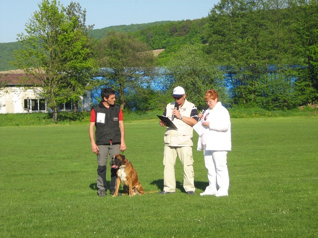 www.atibox.net * www.euroboxer.eu * www.boxergenealogia.eu